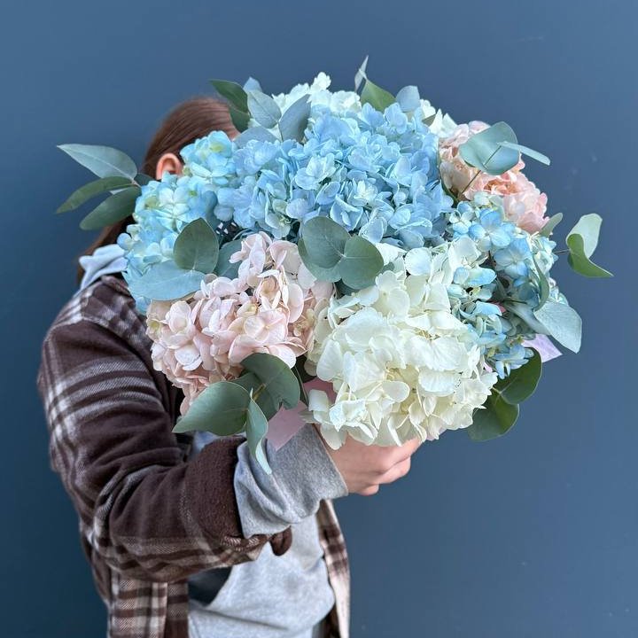 Гортензии в коробочке в Череповеце