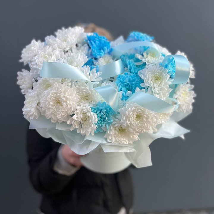 Хризнтемы в боксе в Череповеце