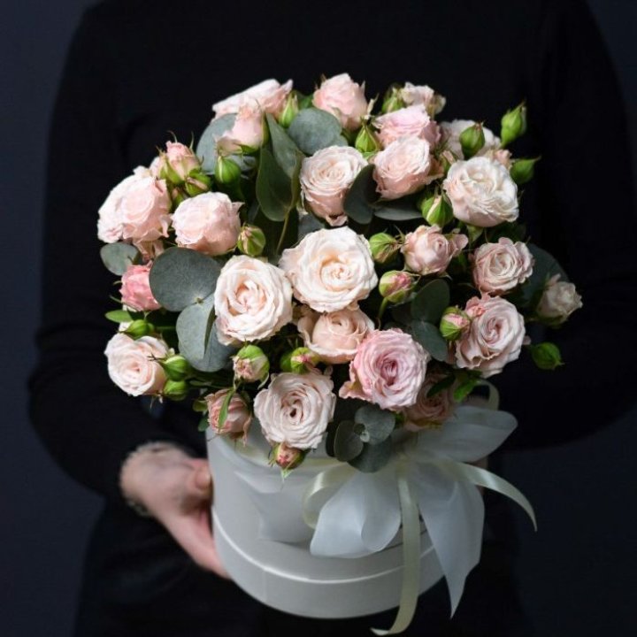 Бомбастик бокс №2 в Череповеце