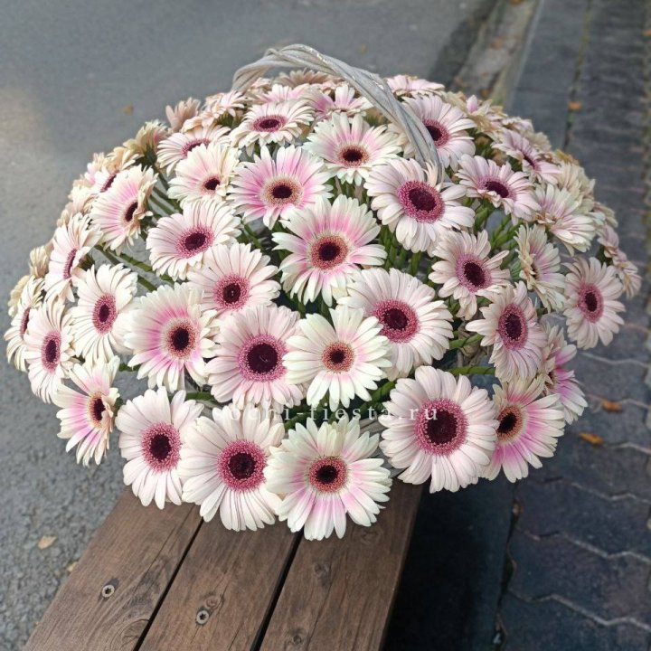Корзина с герберами  в Череповеце