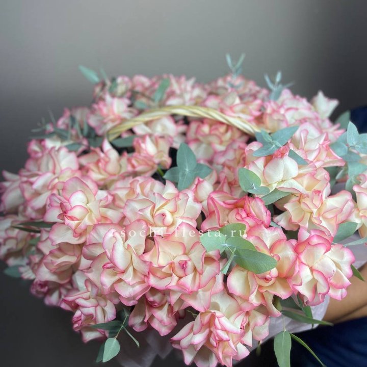 51 джумилия  в корзине   в Череповеце