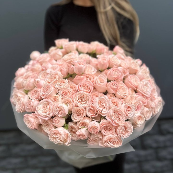 51 кустовая роза Бомбастик в Череповеце