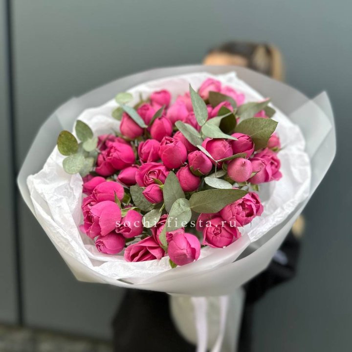 17 Мисти бабблс в Череповеце