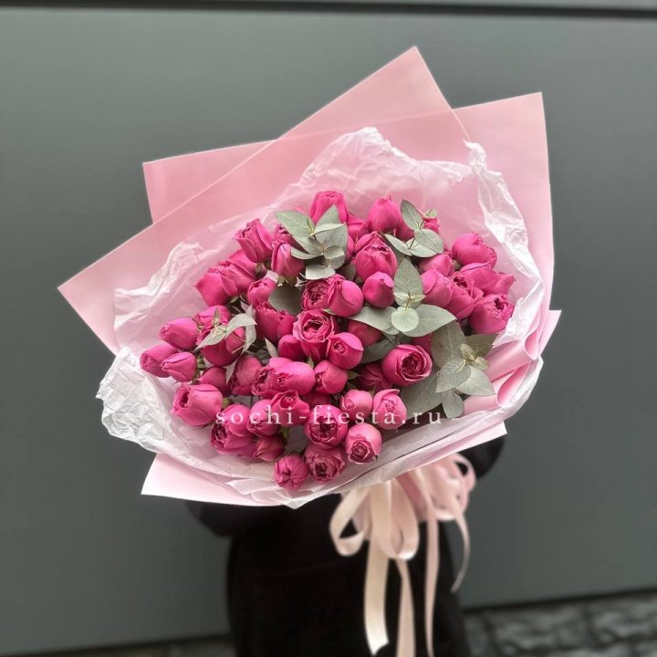 25 Мисти бабблс в Череповеце