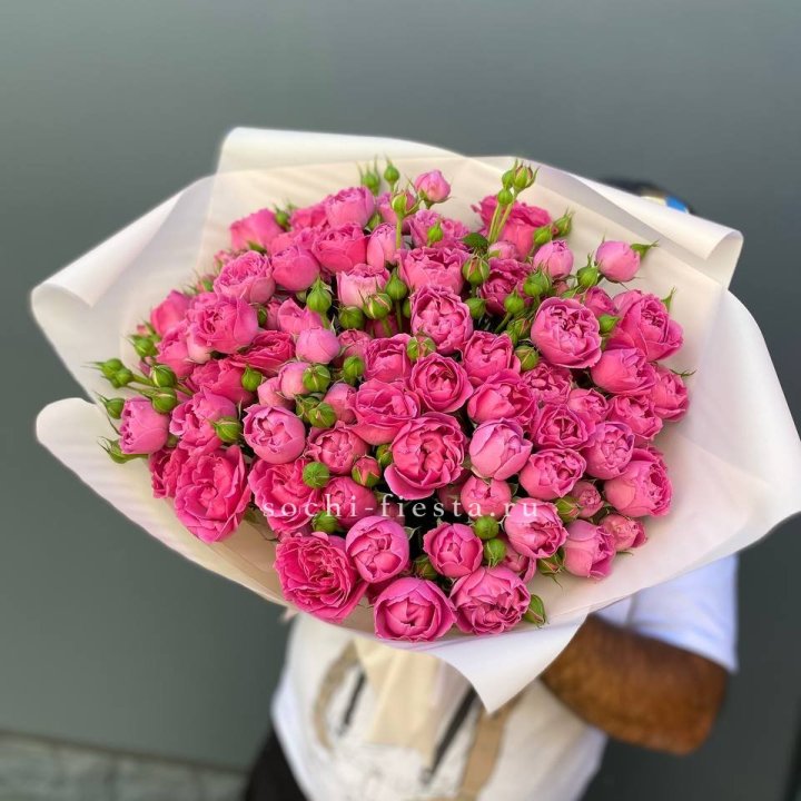 Мисти Баблс 35шт в Череповеце