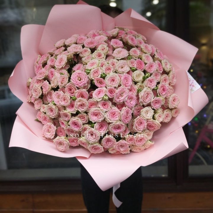 51 кустовая роза Твистер в Череповеце