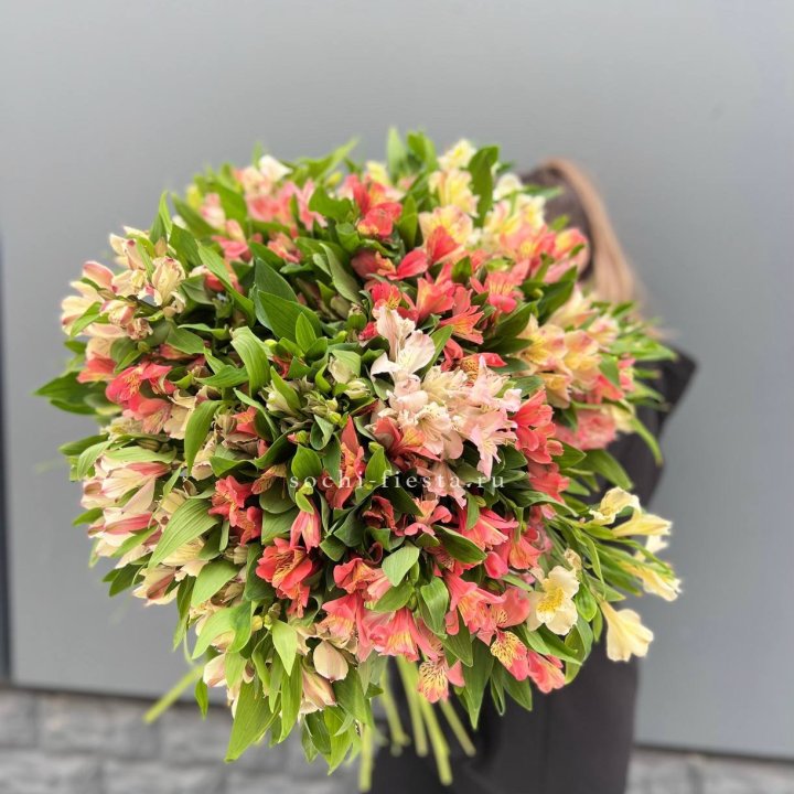 51 альстромерия в Череповеце