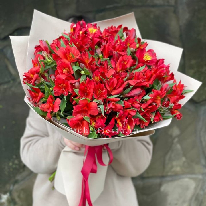 51 альстромерия в Череповеце