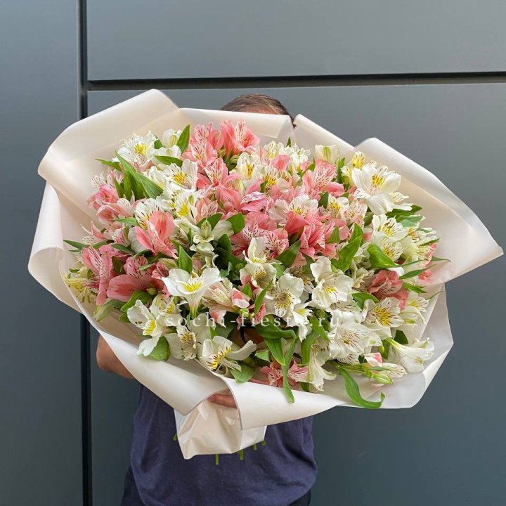 39 альстромерий в Череповеце