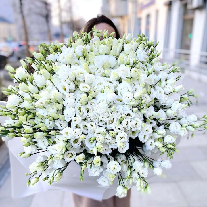 101 белая эустома в Череповеце