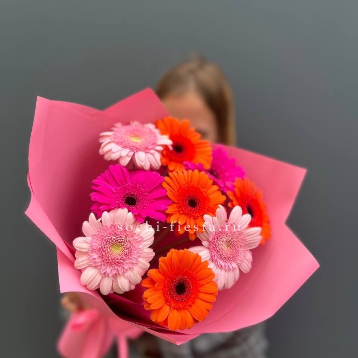 Краски в Череповеце