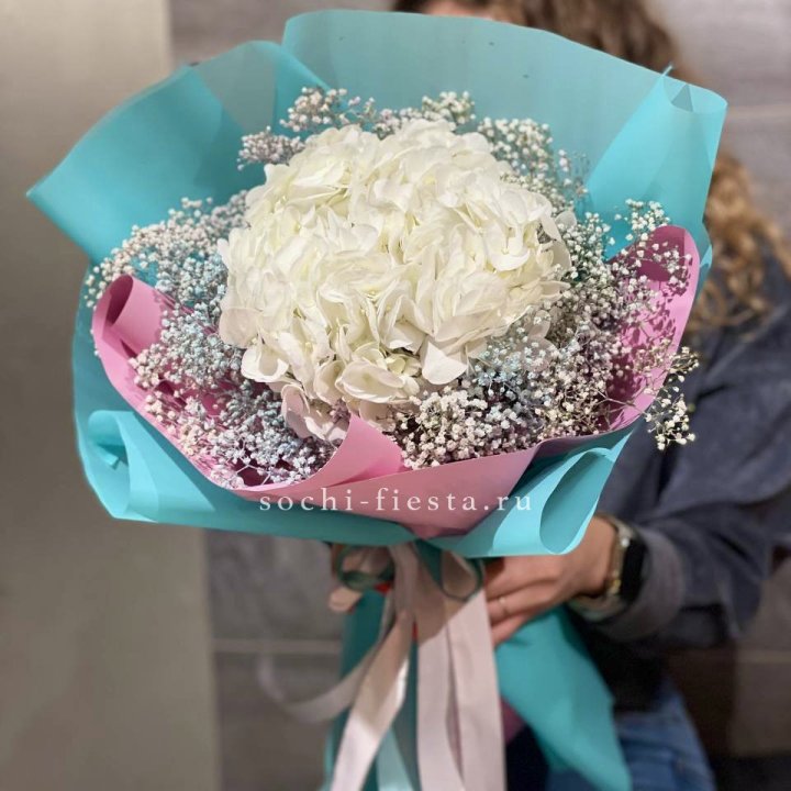 Гортензия "Райдов" в Череповеце