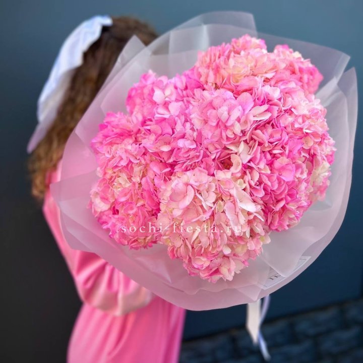 7 ярко розовых гортензий в Череповеце