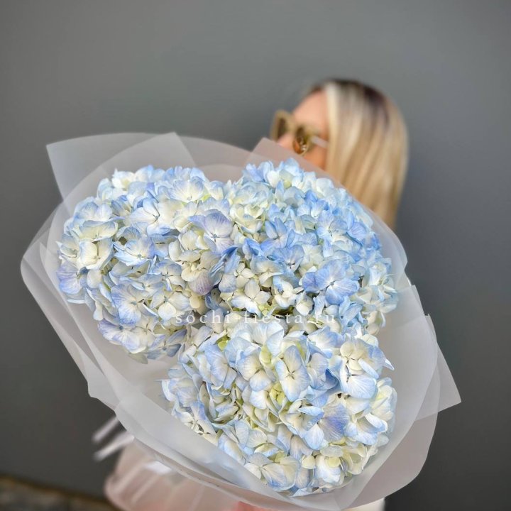 Букет из 3 голубых гортензий  в Череповеце