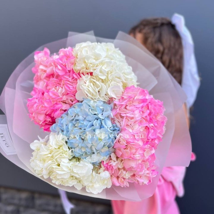 7 гортензий микс в Череповеце