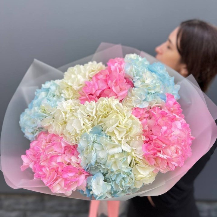 9 гортензий микс в Череповеце