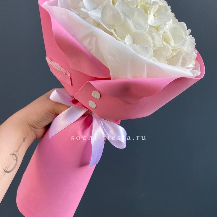 Гортензия в розовом пиджаке в Череповеце