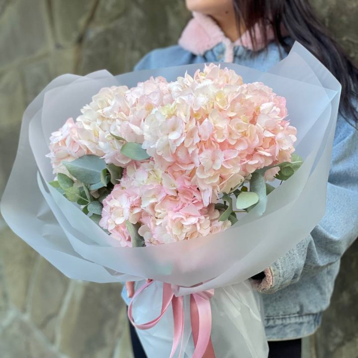 5 розовых гортензий в Череповеце