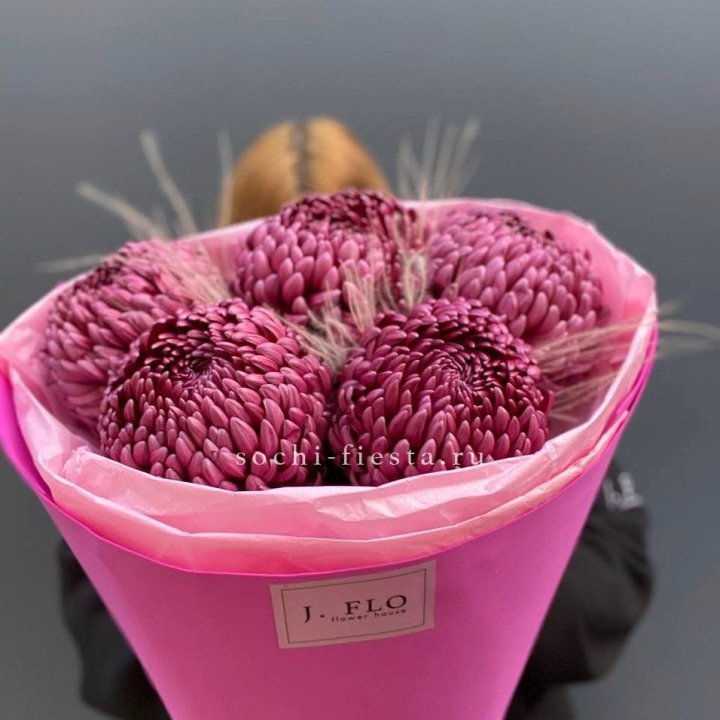 Хризантемы  Бигуди с стифой в Череповеце