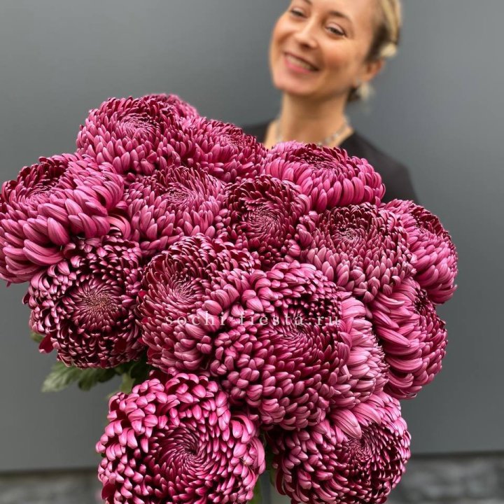 Охапка хризантем Бигуди в Череповеце