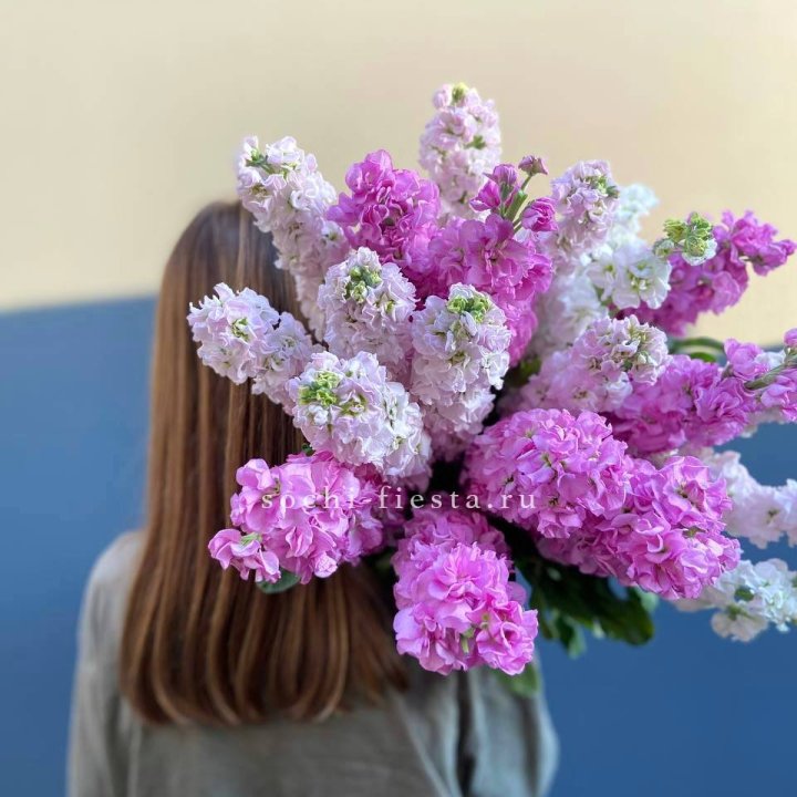 Охапка маттиолы в Череповеце