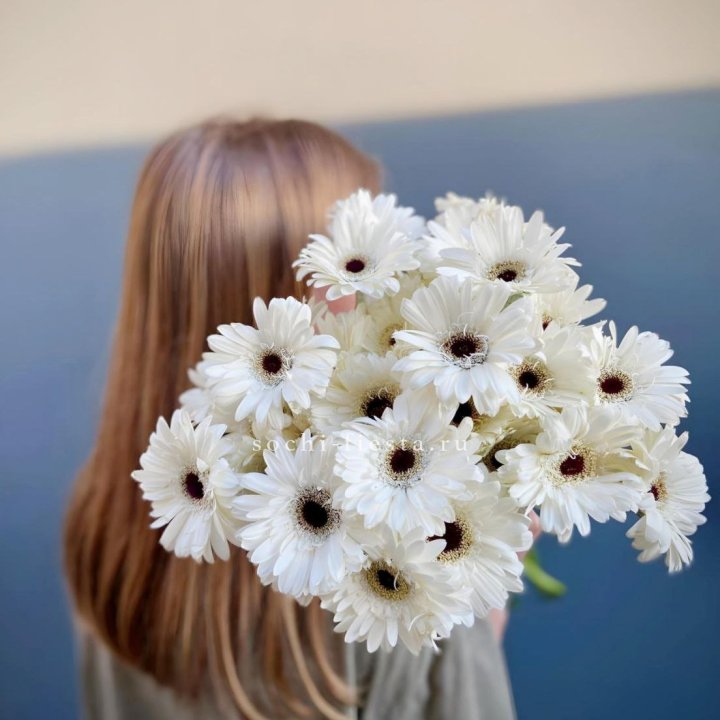 Охапка гербер в Череповеце