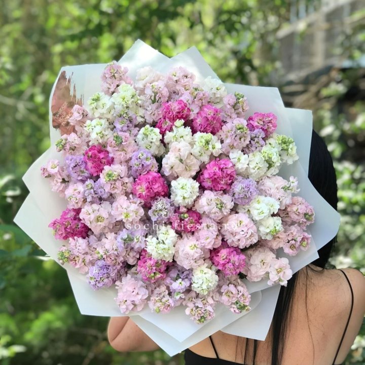 Букет ароматной маттиоллы №3 в Череповеце