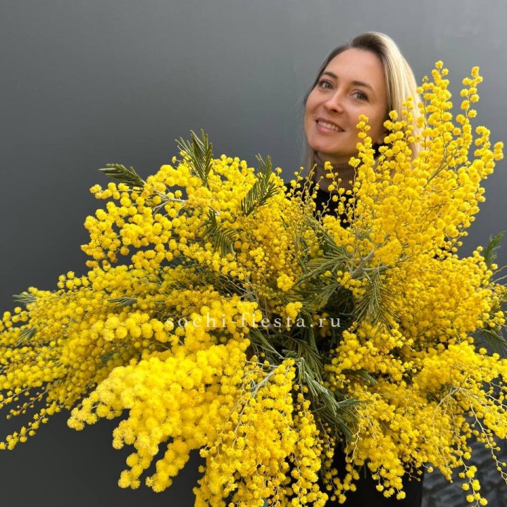 Охапка мимозы №2 в Череповеце