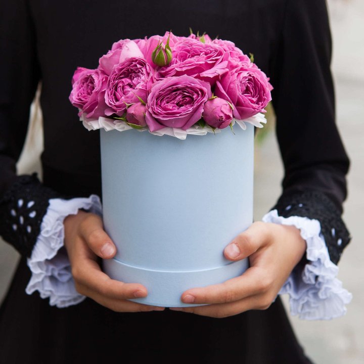 Бокс мини мисти в Череповеце