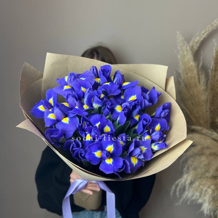 Ирисы в Череповеце