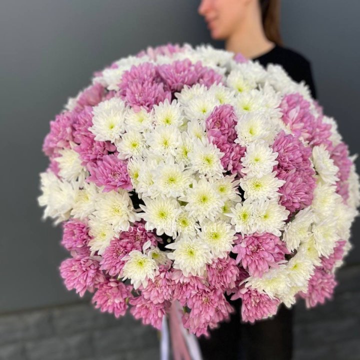  Букет 25 хризантем микс в Череповеце