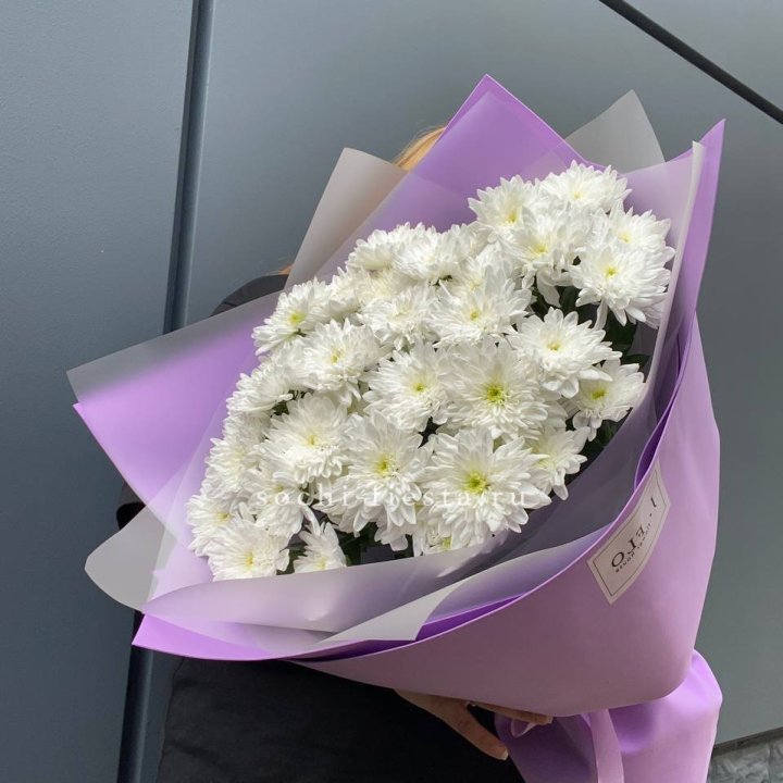  7 хризантем  в Череповеце