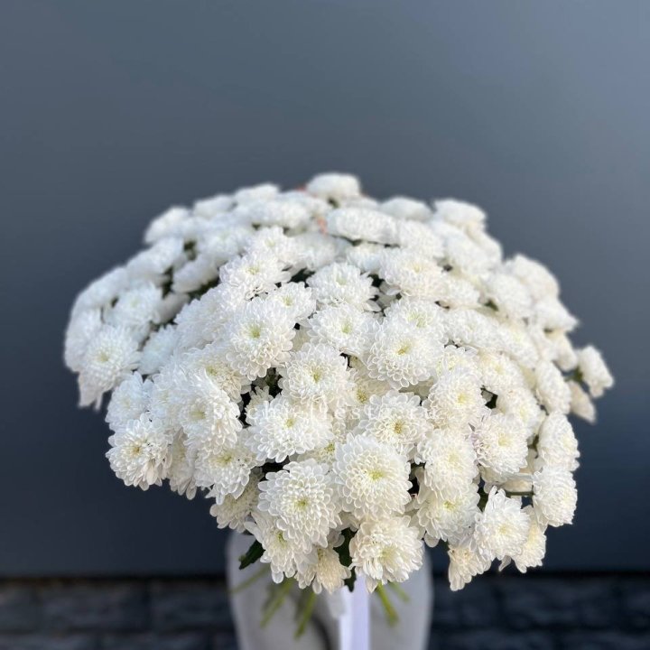  25 хризантем белых в Череповеце