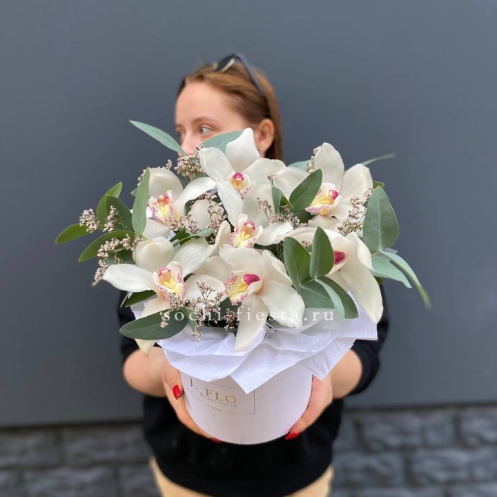 7 орхидей в боксе в Череповеце