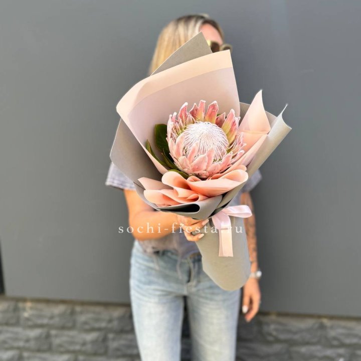 Протея мини  в Череповеце