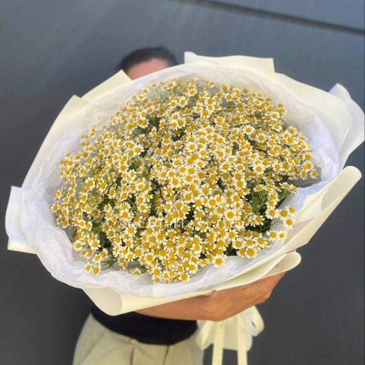 Букет ромашек №2 в Череповеце