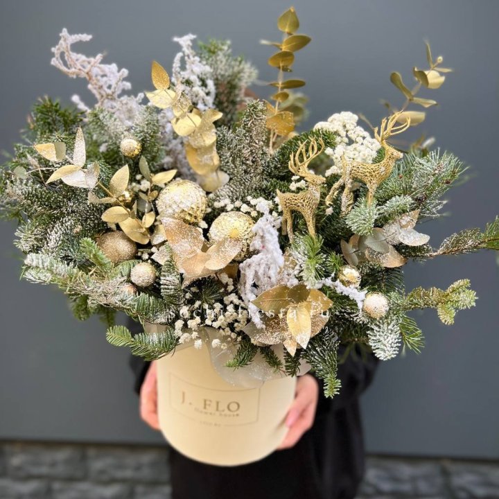 Золотой бокс с нобилисом в Череповеце