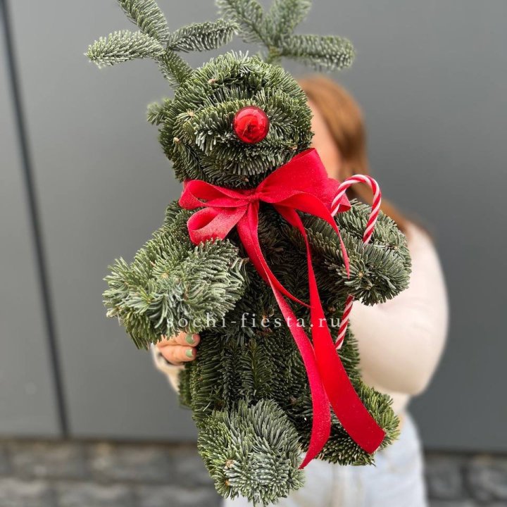 "Олень" из нобилиса в Череповеце