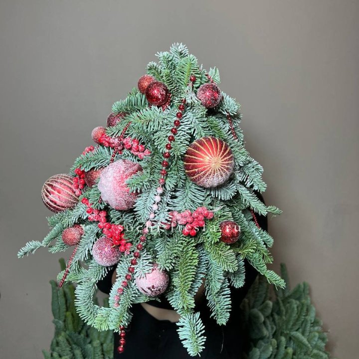 Ёлка красная в Череповеце