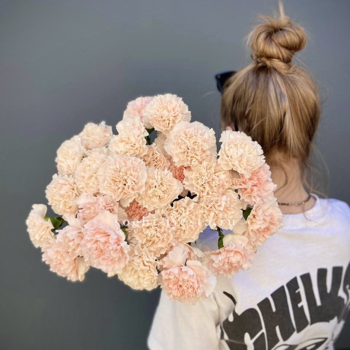 Охапка диантусов  в Череповеце