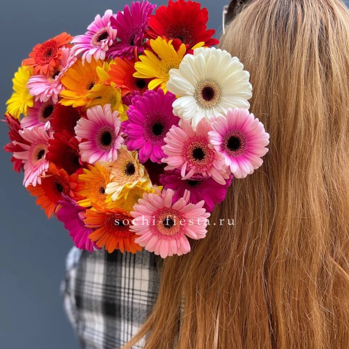 Охапка гербер  в Череповеце