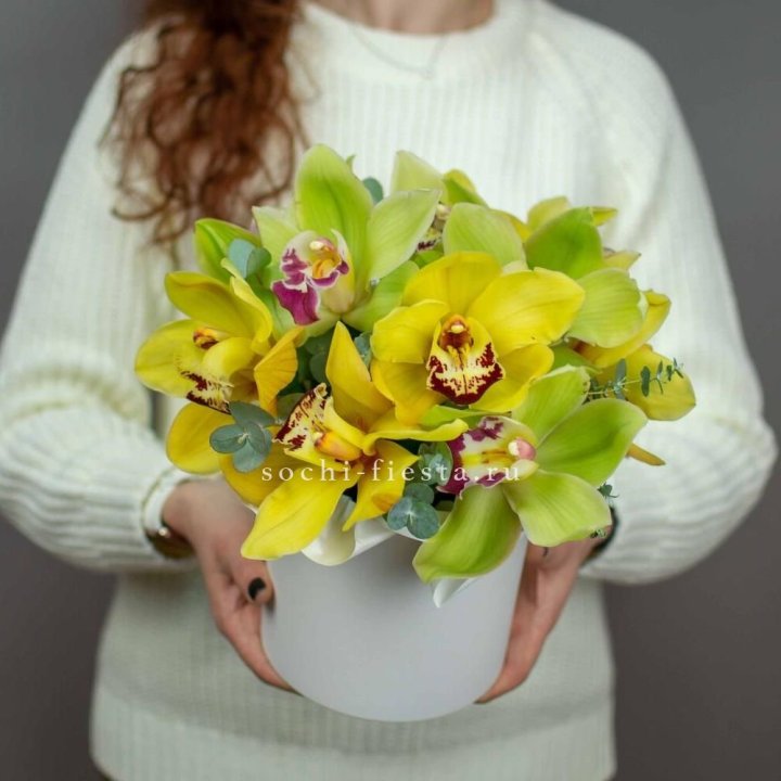 Бокс с орхидей №1 в Череповеце