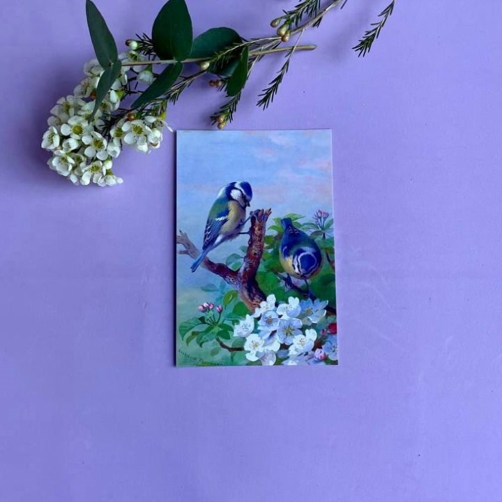 Открытка к букету "Птицы" в Череповеце