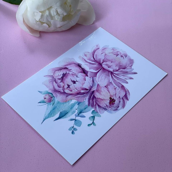 Открытка к букету "Пионы" в Череповеце