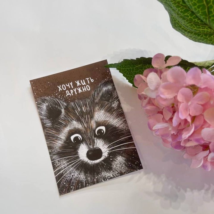 Открытка к букету "Енотик" в Череповеце