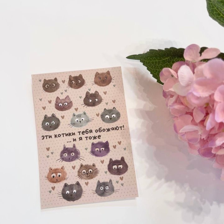 Открытка к букету "Котики" в Череповеце