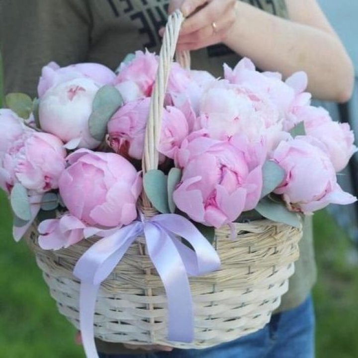 15 пионов в корзине в Череповеце