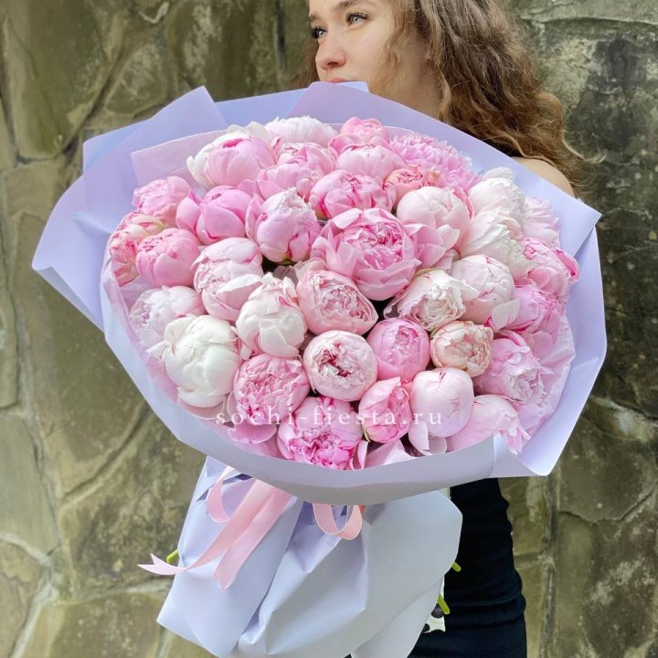 39 нежных пионов в Череповеце