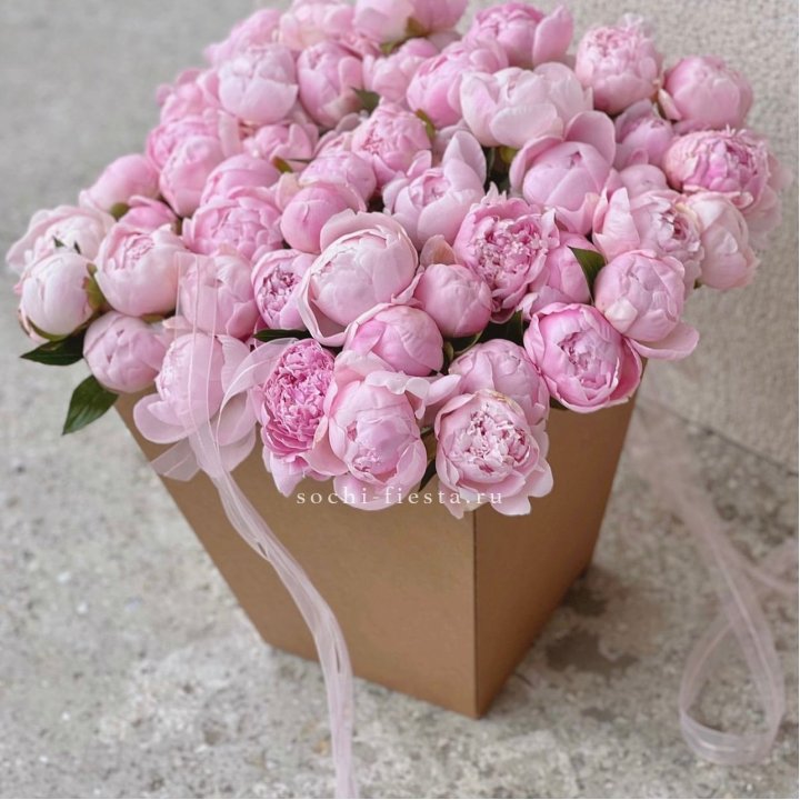 49 пионов в крафт коробке в Череповеце