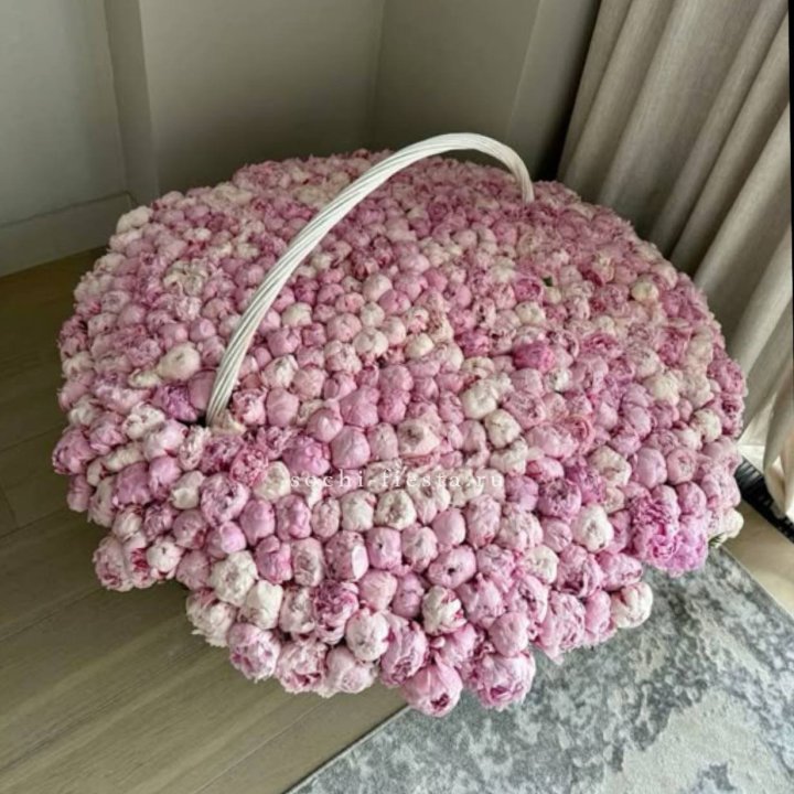 Корзина 555 пионов в Череповеце